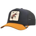 gorra goorin