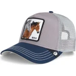 gorra goorin
