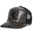 gorra goorin