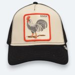 gorra goorin