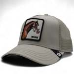 gorra goorin
