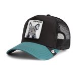 gorra goorin