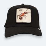 gorra goorin